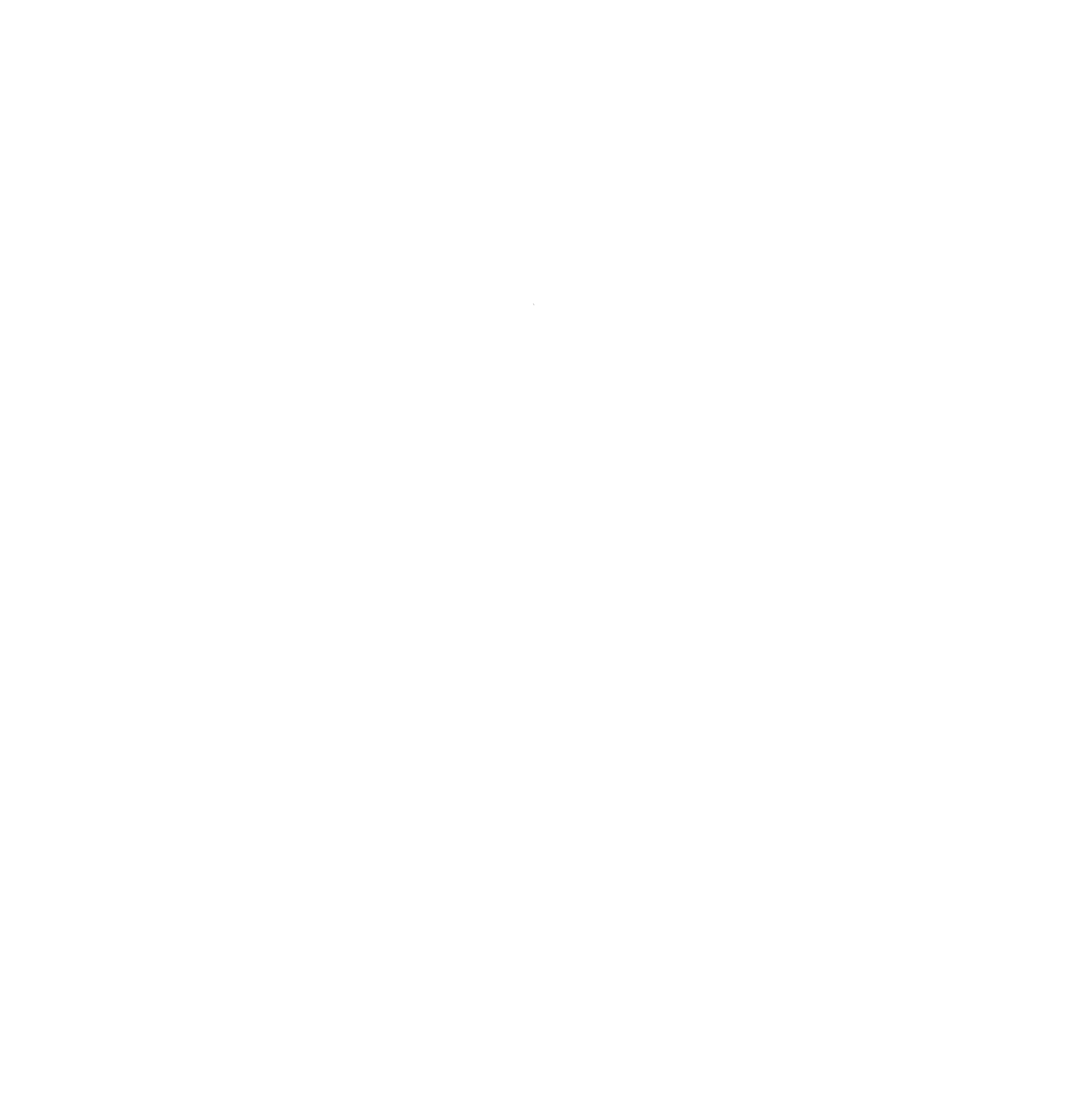 Logo Sentinel News